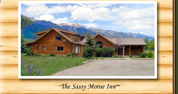 The Sassy Moose Inn