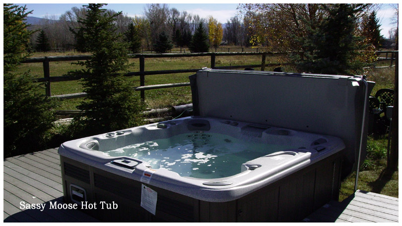 The Sassy Moose Hot Tub