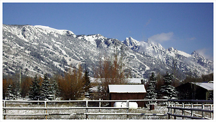 The Sassy Moose Winter Teton View 